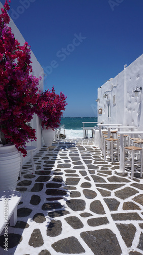  Fototapeta uliczka Grecka   zdjecie-pieknego-kwiatu-bugenwilli-o-niesamowitych-kolorach-na-malowniczej-greckiej-wyspie