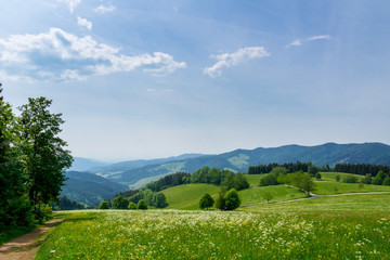 germany, hike trails on lindenberg in panoramic black forest nature landscape