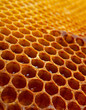 © Leonid Nyshko - Yellow Honeycomb closeup background