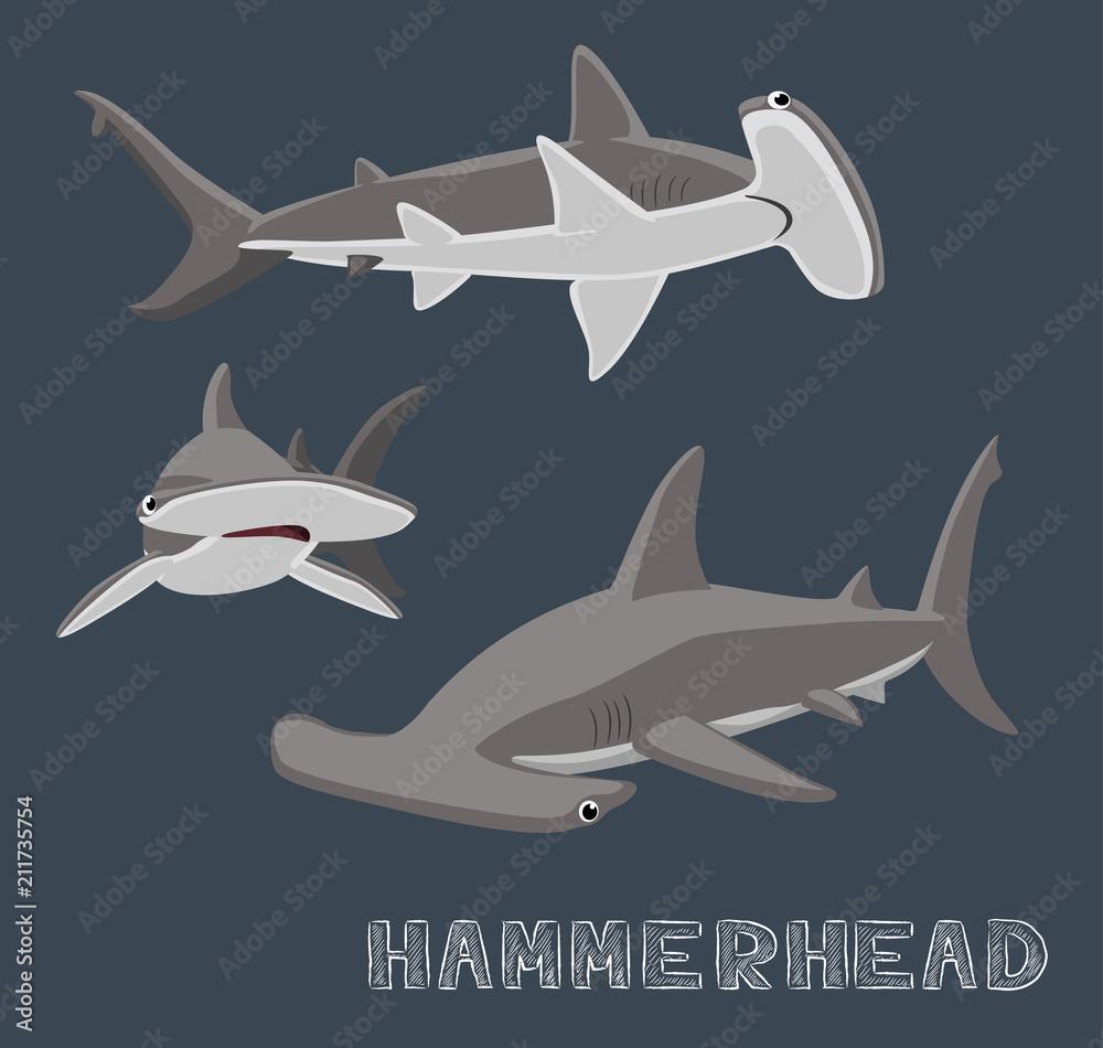 Hammerhead Shark Cartoon Vector Illustration - obrazy, fototapety, plakaty 