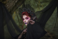 Black Elf Free Stock Photo - Public Domain Pictures