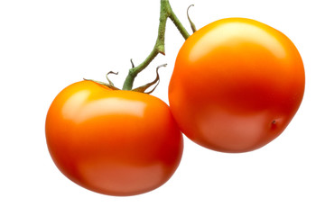 Wall Mural - Bunch of delicious red tomatoes isolated on white background with clipping path