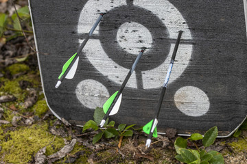 Wall Mural - Arrows in an Archery Target.