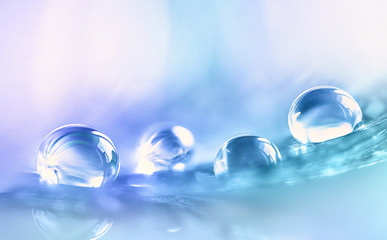 Aufkleber - Beautiful large transparent water drops or rain water on blue purple turquoise soft background, macro. Elegant delicate artistic image nature.