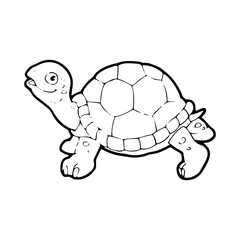 Turtle cartoon illustration isolated on white background for children color book