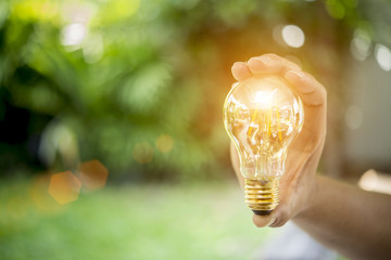 light bulb on grass with sunset power energy concept