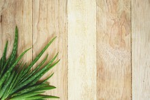 Aloe Vera On Wooden Table Background, Copy Space, Skin Care Concept