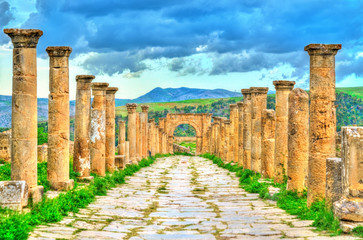 Poster - Berbero-Roman ruins at Djemila in Algeria