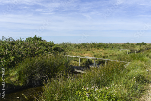 Fotografia réserve naturelle, Réserve naturelle régionale du polder de Sébastopol, Vendée,