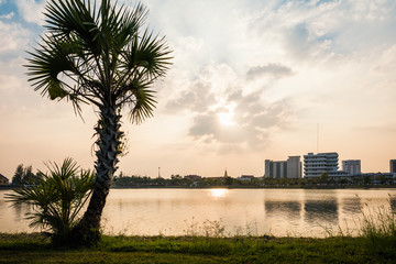 Canvas Print - Sunset with lake in Public Park landscape