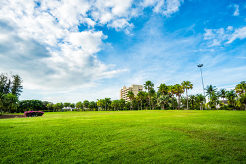 Poster - Green grass field with building in Public Park