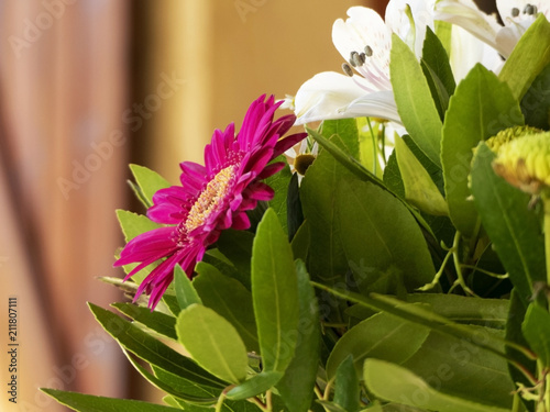 Bouquet De Fleurs En Gros Plan Buy This Stock Photo And