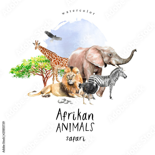 Cuadros en Lienzo watercolor illustration of African animals: zebra, lion, ostrich, elephant, gira
