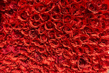 Clustered Red Roses Making A Wallpaper