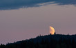Half moon setting on dark forested ridge