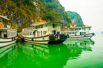 Wall Mural - Green sea water in Halong Bay in Vietnam