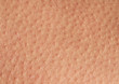 © nataba - background of a texture of a tanned young female skin of a man covered with pores and small goosebumps