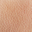 © nataba - background of a texture of a tanned young female skin of a man covered with pores