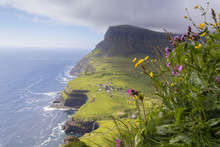 Wild Flowers On Top Of Rocks, Gasadalur, Vagar Island, Faroe Islands, Denmark