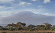 Mount Kilimanjaro, seen from Amboseli National Park, Kenya