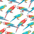 Seamless pattern of colorful tropical macaw parrots