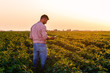 © Zoran Zeremski - Young farmer standing in filed holding phone in his hands and examining soybean corp at sunset.