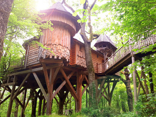 beautiful wood house on top the tree