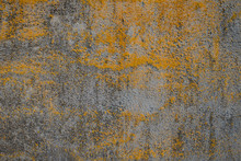 Concrete Surface With Yellow Moss And Mold