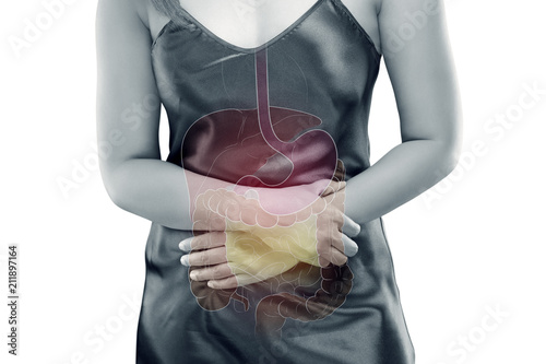 The Photo Of Internal Organs Is On The Women S Body Against Gray Background Viscera On Human Stock Photo Adobe Stock