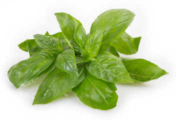 Wall Mural - Fresh basil on white background