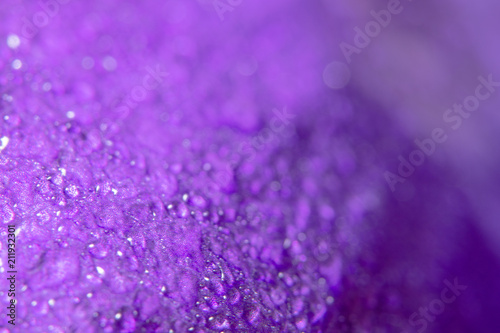Obraz Dibond Colorful petals background, purple