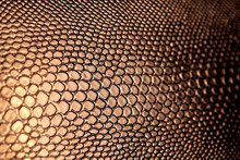 Texture Of An Artificial Brown Snake Skin