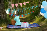 Fototapeta Morze - decoration for first birthday smash the cake outdoor