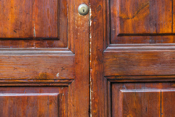 Brown wood door - texture.