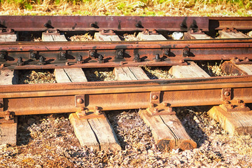 Old railroad tracks overgrown with grass.