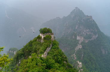 Wall Mural - Great Chinese Wall overgrown with plants with foggy background and birds hovering