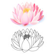 Pink lotus pattern flower set