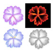 Smoky pattern flower five petal set