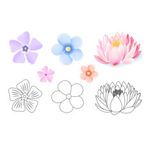 Pink Lotus, Periwinkle, Forget-me-not Pattern Flower Set