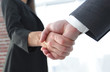 © ASDF - Close up of businessman and businesswoman shaking hands