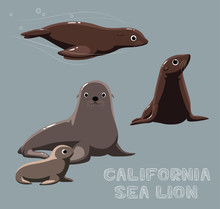 California Sea Lion Cartoon Vector Illustration