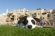 © imageBROKER - A dog lies in front of the old town of Jaffa, old port, today part of Tel Aviv, Tel Aviv-Jaffa, Israel, Asia