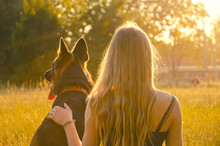 Blurred Silhouette Of A Blonde Girl Embracing A German Shepherd, Sitting In The Grass In The Golden Rays Of The Sun And Looking At The Sunset (selective Focus On The Girl), Retro Style Toned