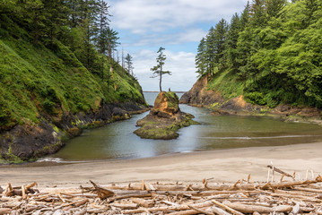 Wall Mural - Deadman's Cove at Cape Disappointment in Washington, USA