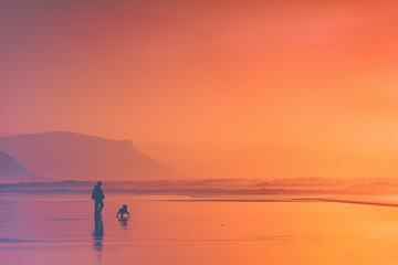 Canvas Print - person walking the dog on beach