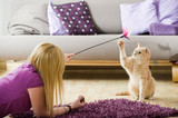 Fototapeta Koty - Junge Frau spielt mit Katze