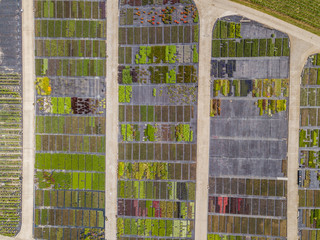 Sticker - Aerial view of rows of cultivated young plants in plant nursery in Switzerland, Europe