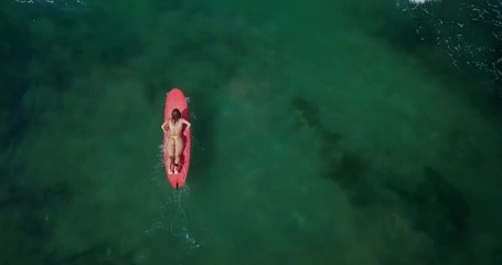 Wall Mural - Fitness surfer lady in sexy bikini with surfing longboard. Girls paddle on her board in dangerous ocean waves. Modern lifestyle. People water sport camp. Extreme vacation. Drone aerial footage.