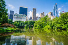 The Pond, In Central Park, Manhattan, New York City