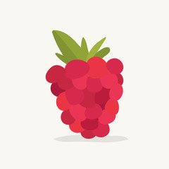 Poster - Hand drawn raspberry fruit illustration